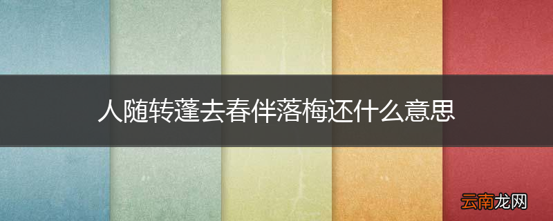 人随转蓬去春伴落梅还什么意思