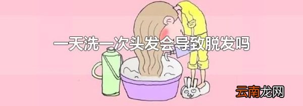 一天洗一次头发会导致脱发吗
