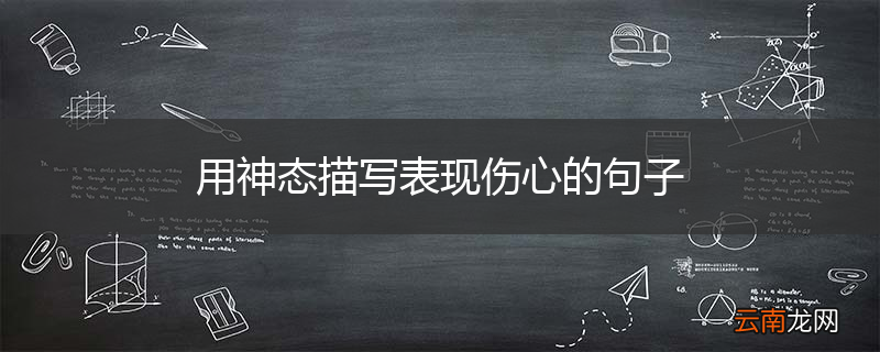 用神态描写表现伤心的句子