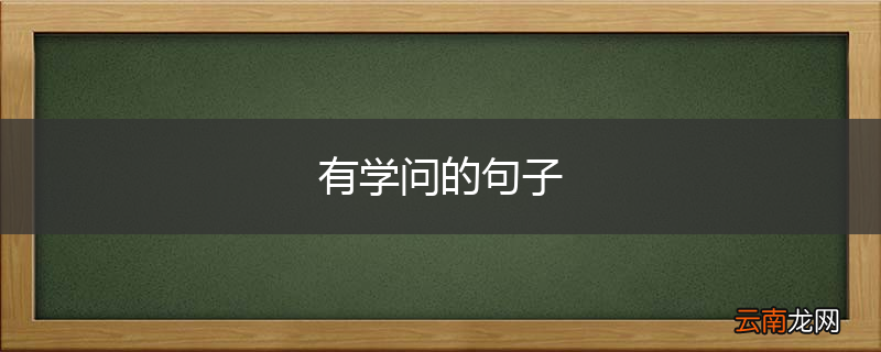 有学问的句子
