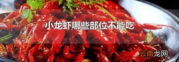 小龙虾哪些部位不能吃