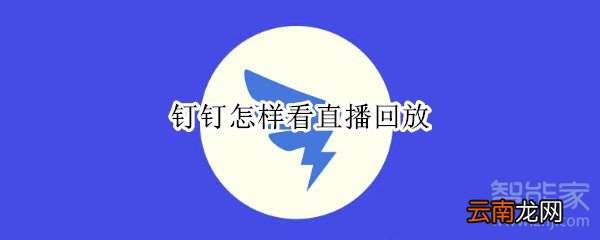 钉钉怎样看直播回放