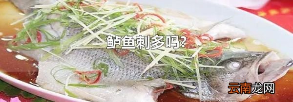 鲈鱼刺多吗?