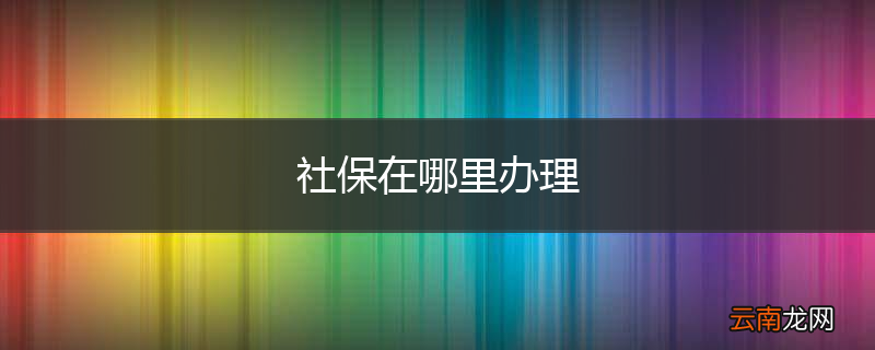 社保在哪里办理