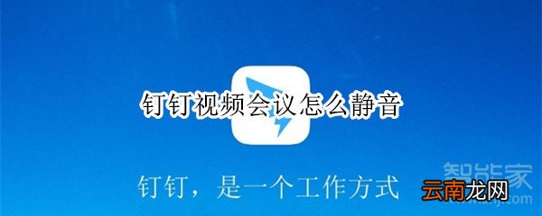 钉钉视频会议怎么静音