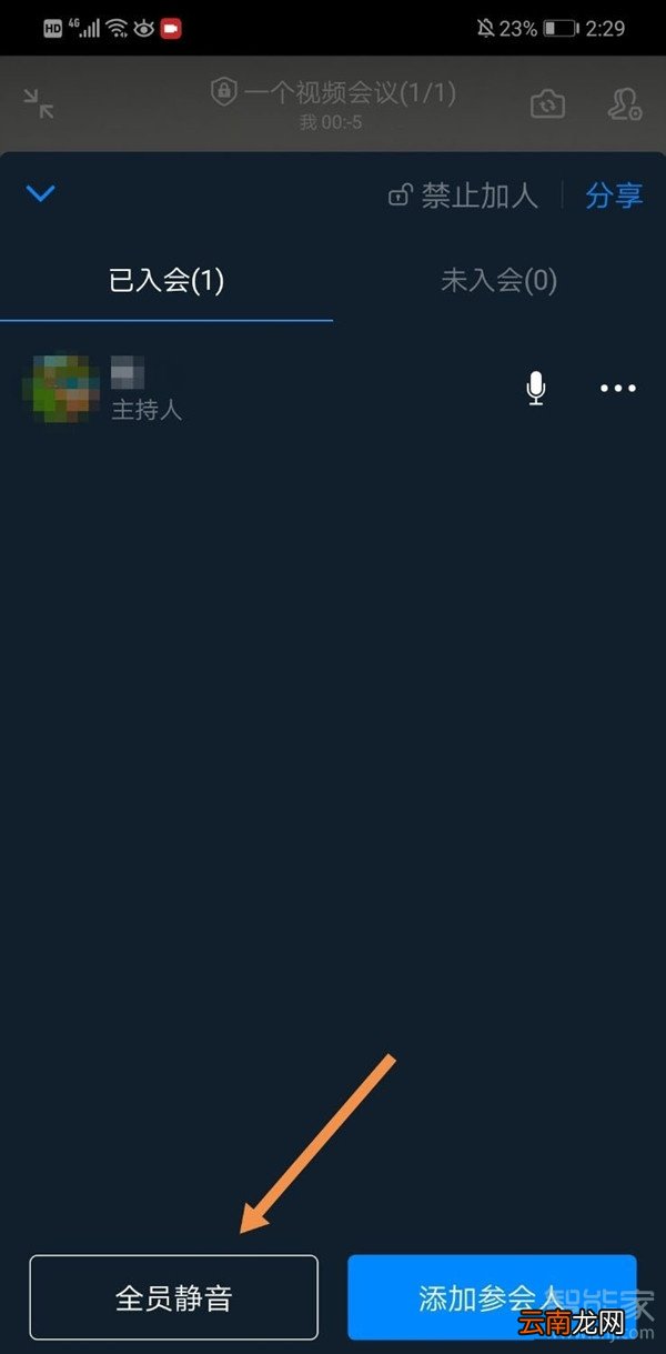 钉钉视频会议怎么静音