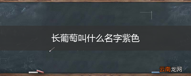 长葡萄叫什么名字紫色