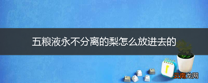五粮液永不分离的梨怎么放进去的