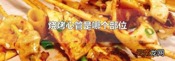 烧烤心管是哪个部位