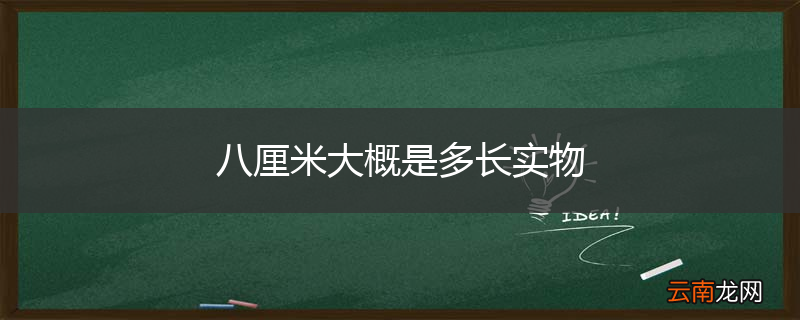 八厘米大概是多长实物