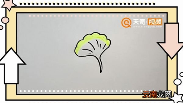 银杏叶简笔画