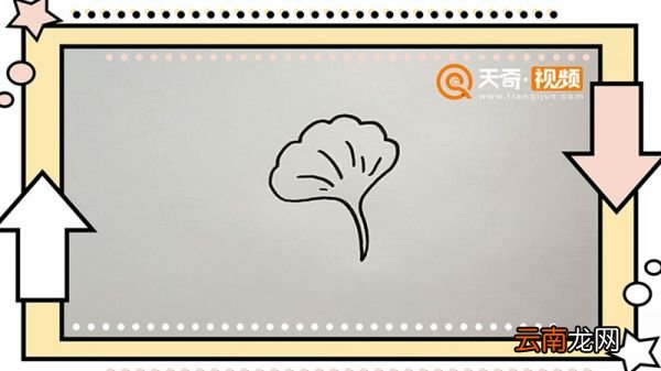 银杏叶简笔画