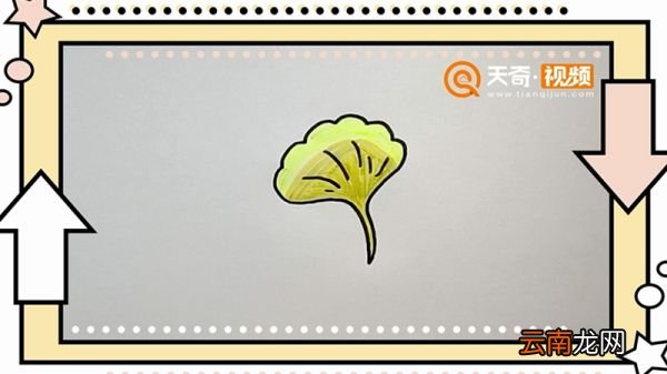 银杏叶简笔画