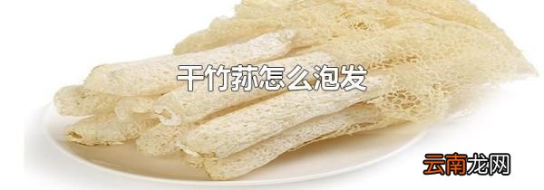 干竹荪怎么泡发