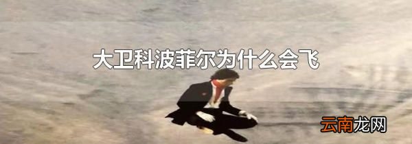 大卫科波菲尔为什么会飞