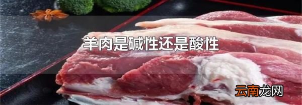 羊肉是碱性还是酸性
