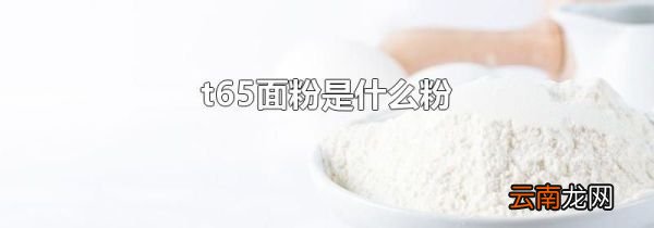 t65面粉是什么粉