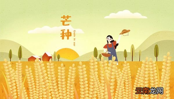 芒种有哪些传统风俗 芒种的传统风俗有哪些