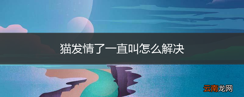 猫发情了一直叫怎么解决
