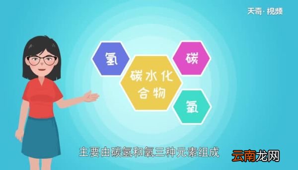 碳水化合物是什么 什么是碳水化合物