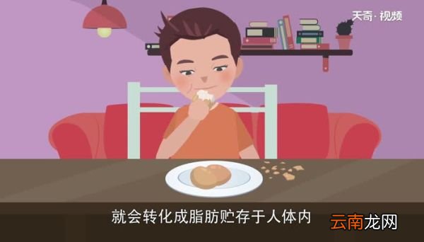 碳水化合物是什么 什么是碳水化合物