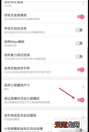 哔哩哔哩APP设置自动切换小窗口的方法
