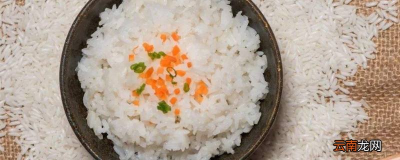 蒸饭要蒸多久