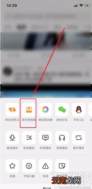 西瓜视频APP保存视频到手机上的方法