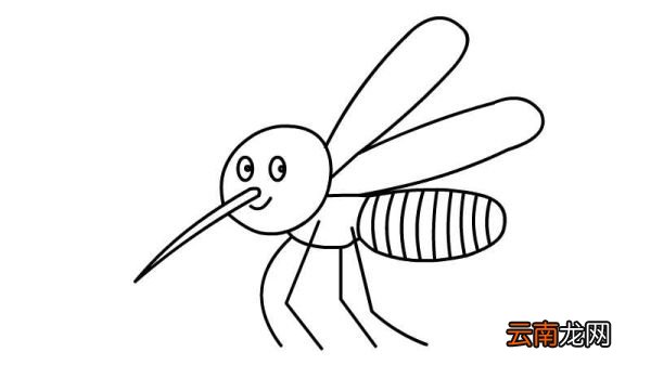 蚊子简笔画怎么画简单