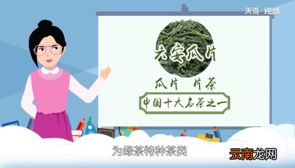 六安瓜片是什么茶六安瓜片属于什么茶