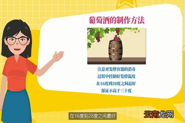 葡萄酒的制作方法 葡萄酒怎么做
