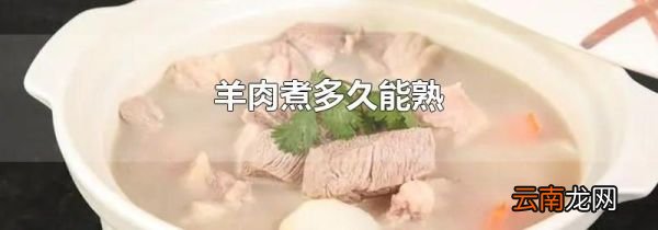羊肉煮多久能熟