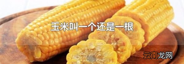 玉米叫一个还是一根