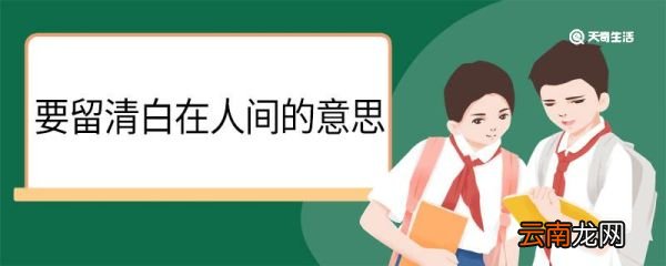 要留清白在人间的意思 要留清白在人间翻译