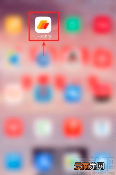 小米钱包APP开启小额免密支付的方法