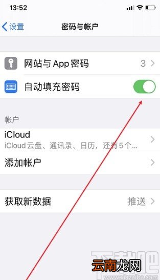 iPhone开启自动填充密码的方法步骤