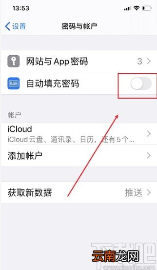 iPhone开启自动填充密码的方法步骤