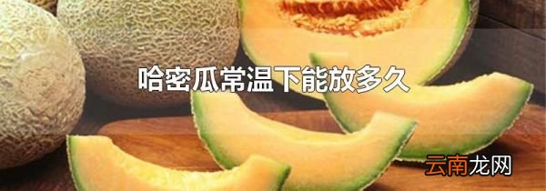 哈密瓜常温下能放多久