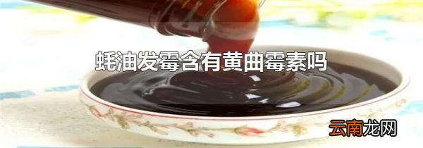 蚝油发霉含有黄曲霉素吗