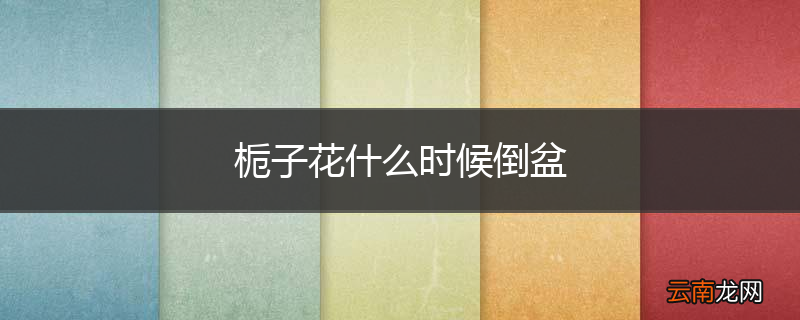 栀子花什么时候倒盆