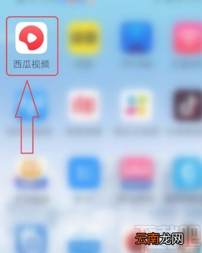 西瓜视频APP清除缓存的方法