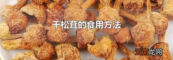 干松茸的食用方法