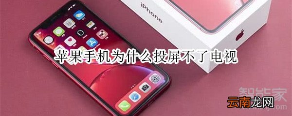苹果手机为什么投屏不了电视