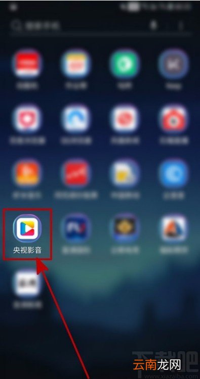 央视影音APP开启自动播放下一集的方法
