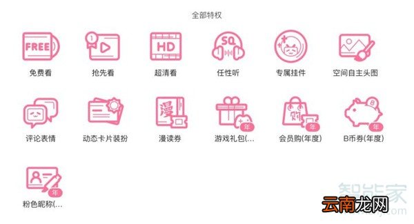 bilibili电视大会员与大会员的区别