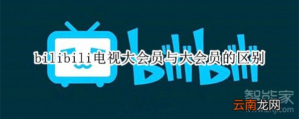 bilibili电视大会员与大会员的区别