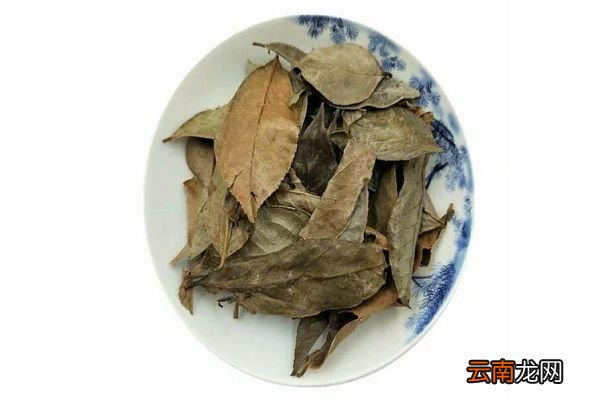乌饭叶的功效与作用 乌饭叶主要有什么功效