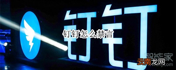 钉钉怎么禁言