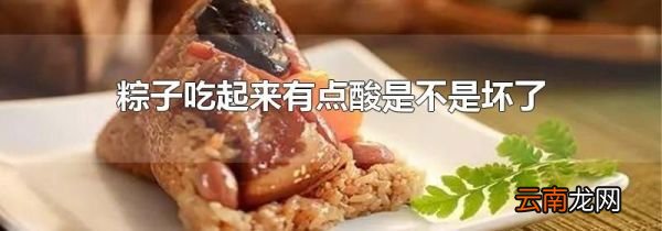 粽子吃起来有点酸是不是坏了