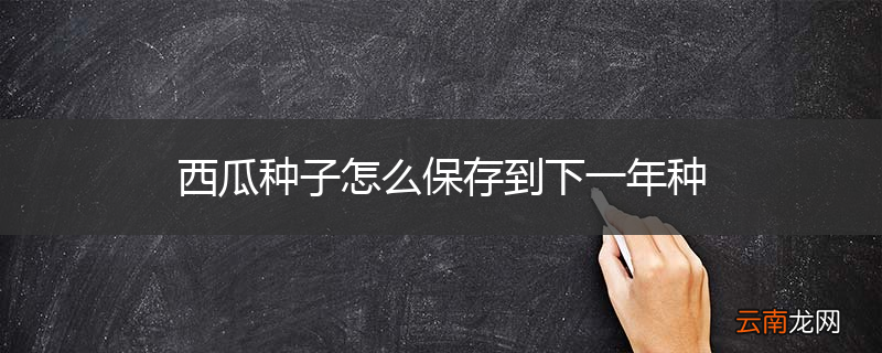 西瓜种子怎么保存到下一年种